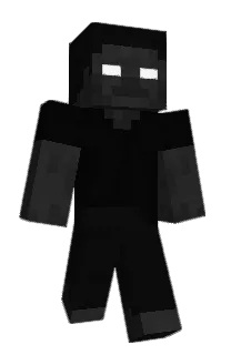 Front of Owner's skin