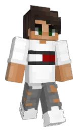 Back of skuas's skin