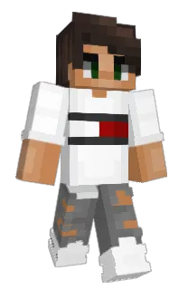 Front of skuas's skin