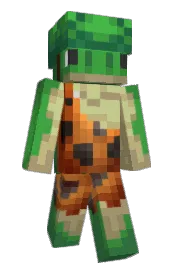 Skin preview