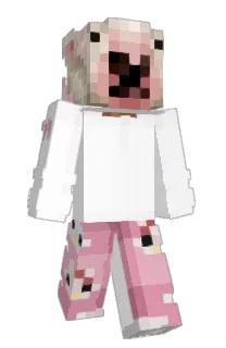 Front of RIZE8008's skin