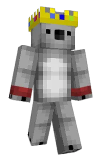 Front of Vonzo's skin