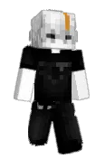 pyzioo_