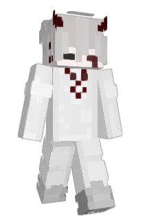 Front of irltraded's skin