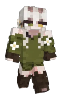 Front of WanderingSteorra's skin