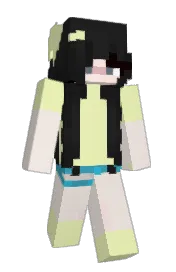 Skin preview