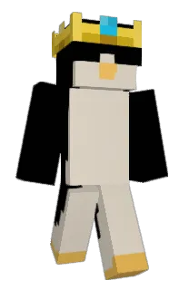 Front of ItzTrym's skin