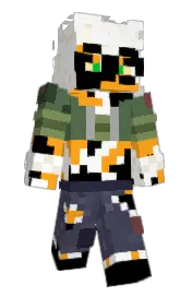 Skin preview