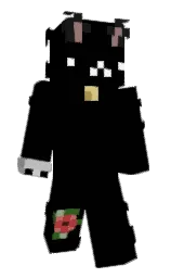 Slim Minecraft skin