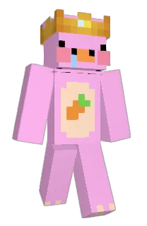 Front of Minecraft skin