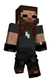 Front of Aroncool's skin