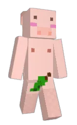 Slim Minecraft skin