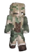 Iamnotatoaster