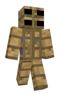 Front of Minecraft skin