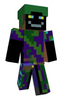 Front of linseil's skin
