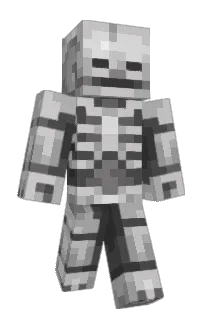 Front of LastBanan's skin