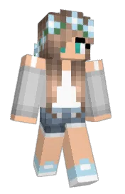 Skin preview