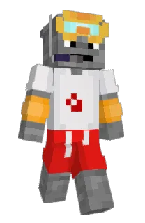Front of cives's skin