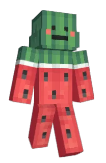 Front of MrNothingMan's skin