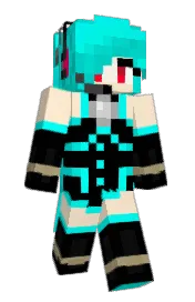 Skin preview