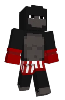 wingmen's Minecraft skin
