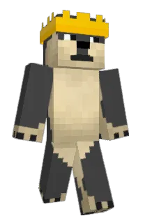 Front of BYPASSINGPASZNE's skin