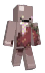 einWUrhts's Minecraft skin wearing the Cherry Blossom cape