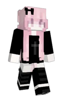 Front of BIN__01's skin