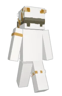 Front of Ymx_Snow's skin