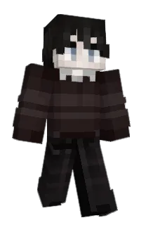 Front of Nikplay_'s skin