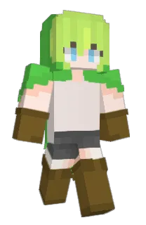 Front of Minecraft skin