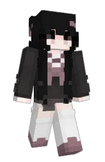 Front of SUDO_APT_INSTAL's skin
