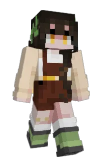 Front of A9616's skin