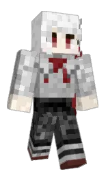 Minecraft skin — Classic model