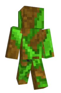 Front of Minecraft skin