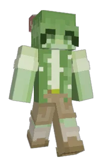 Front of ShroomMC's skin