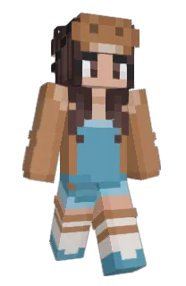 Front of LLinkan's skin