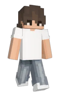 Front of NELSON66's skin