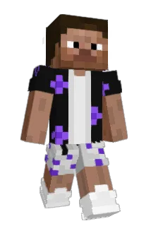 7nyk Minecraft avatar full body