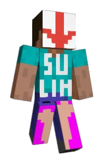7vein Minecraft avatar full body