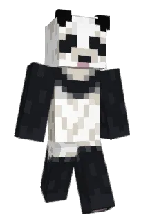 8000000000000008 Minecraft avatar full body