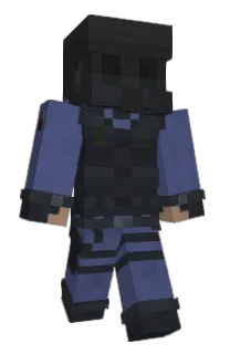 Front of rxe09_sp's skin