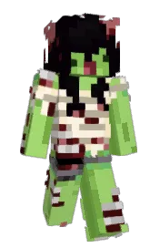 Skin preview