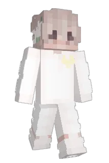 8016 Minecraft avatar full body