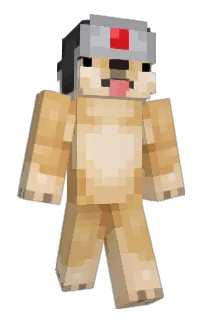 Front of Minecraft skin