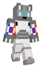 Skin preview