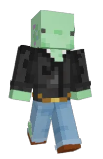 Front of axopollo's skin