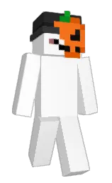 white and mine shaft Minecraft skin — Classic model