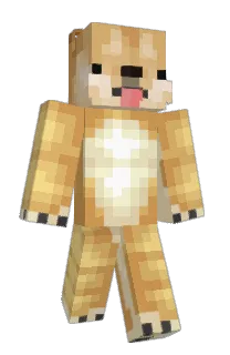 Front of Jaredis's skin