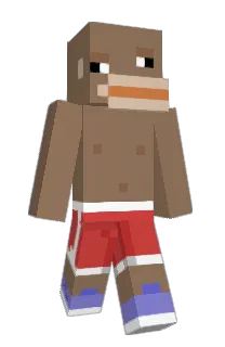 Front of Minecraft skin